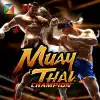 Muay Thai Champion