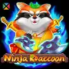 Ninja Raccoon