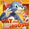 Cat and Mouse