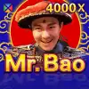 Mr. Bao