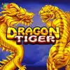 The Dragon Tiger