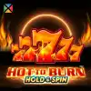 Hot to Burn Hold and Spin